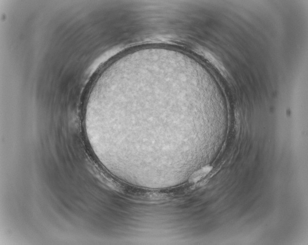 X0000087411308200705111841