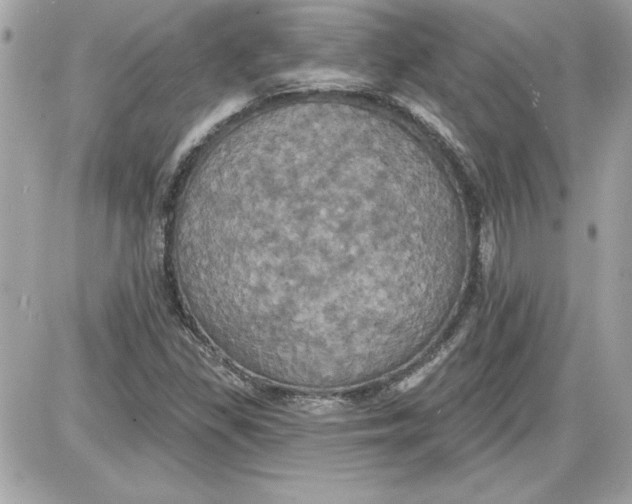 X0000087411309200705111841