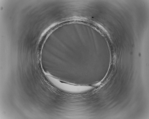 X0000087411310200705111841