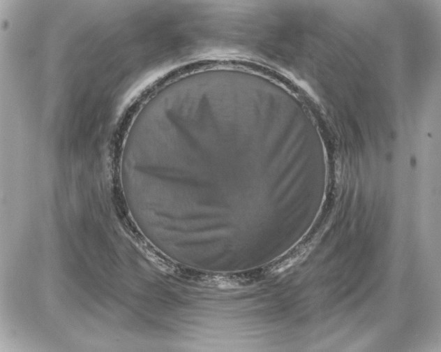 X0000087411311200705111841