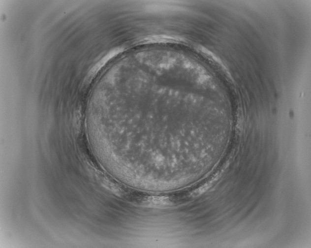 X0000087411313200705111841