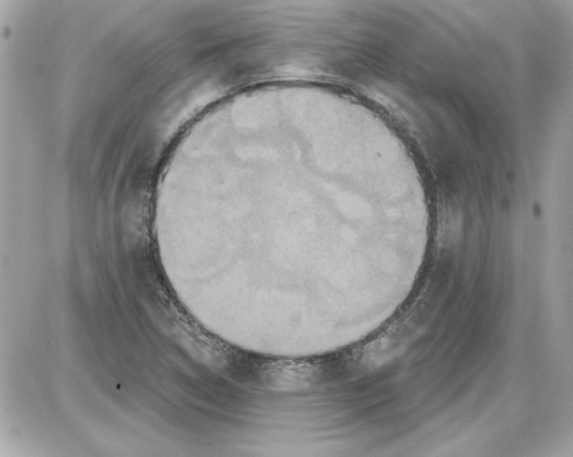 X0000087411314200705111841