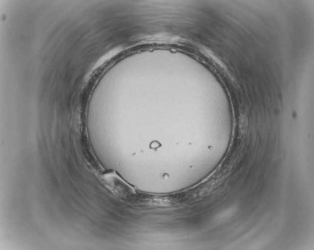 X0000087411315200705111841