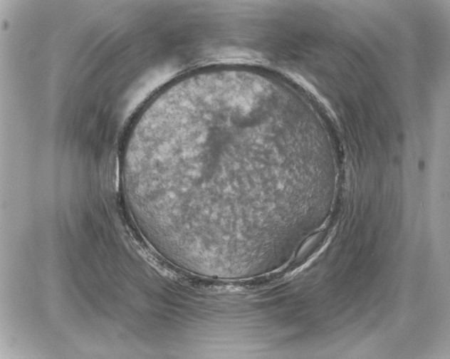 X0000087411317200705111841