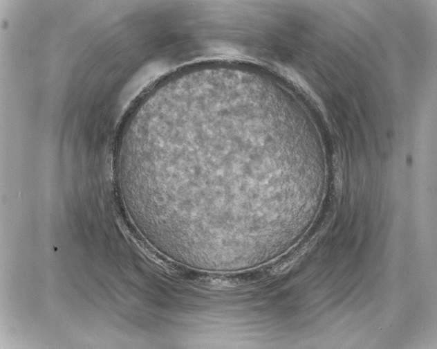 X0000087411318200705111841