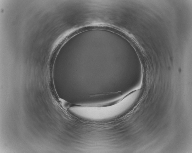 X0000087411319200705111841