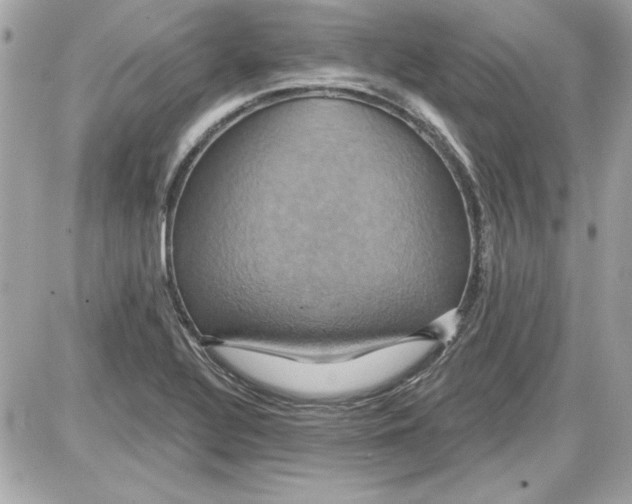 X0000087411320200705111841