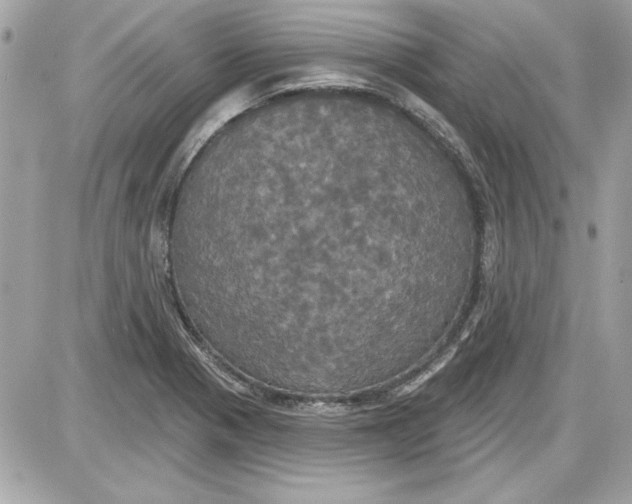 X0000087411321200705111841