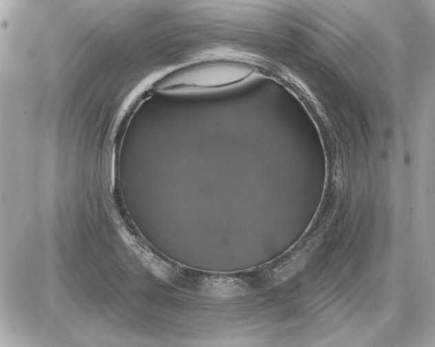 X0000087411323200705111841