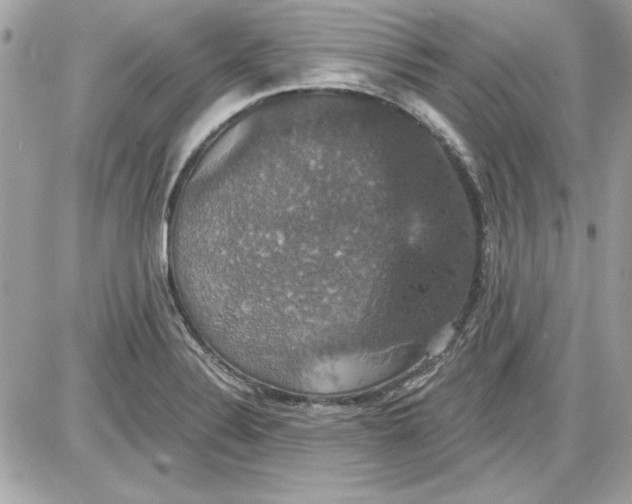 X0000087411324200705111841