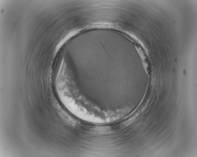 X0000087411325200705111841