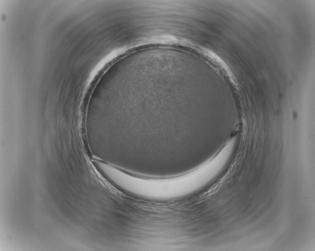 X0000087411326200705111841