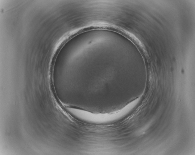 X0000087411327200705111841