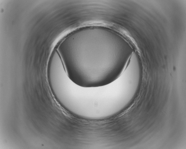 X0000087411328200705111841