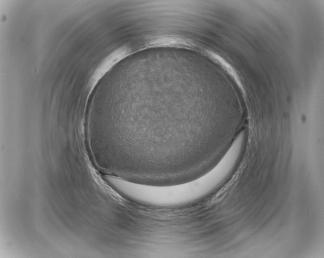 X0000087411330200705111841