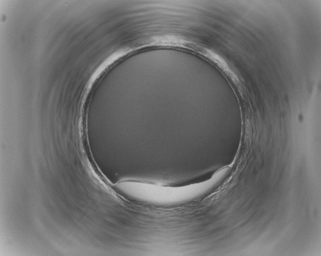 X0000087411331200705111841