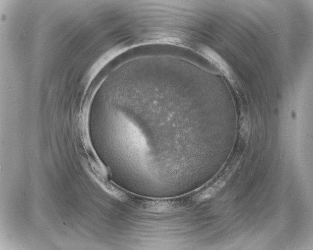 X0000087411332200705111841