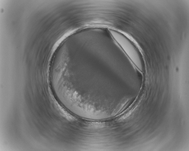 X0000087411333200705111841