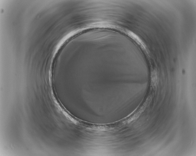 X0000087411334200705111841