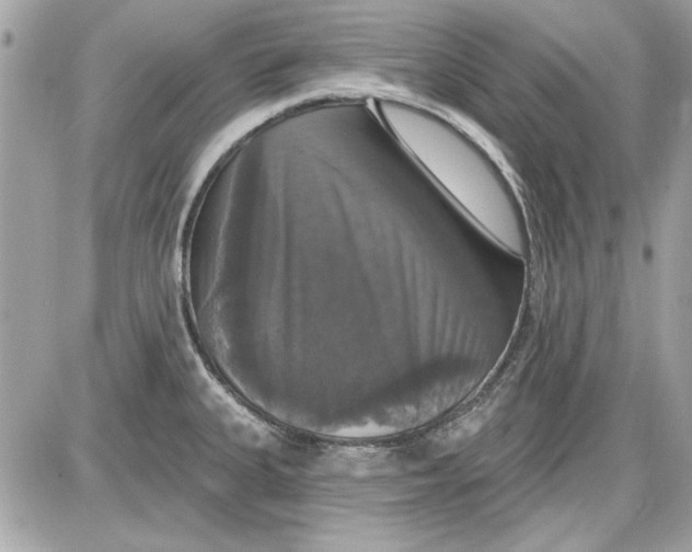 X0000087411335200705111842