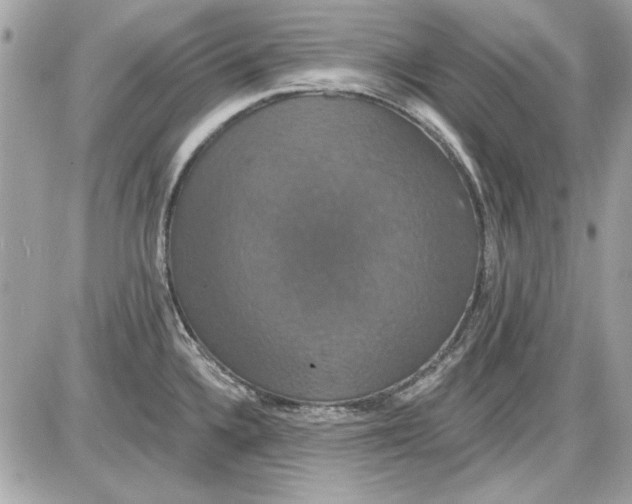 X0000087411336200705111842