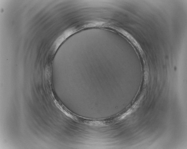 X0000087411337200705111842