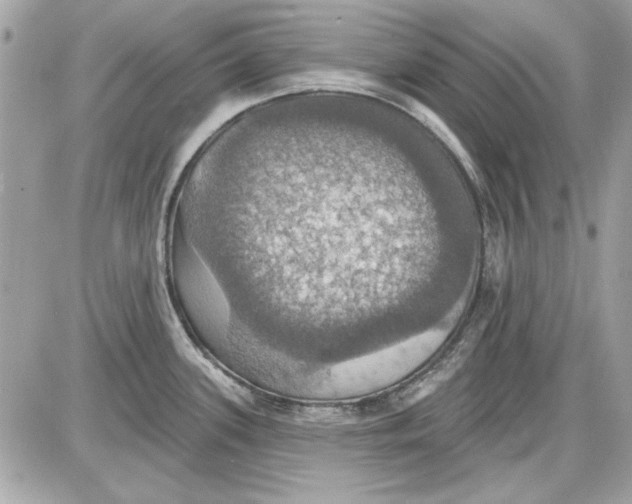 X0000087411339200705111842