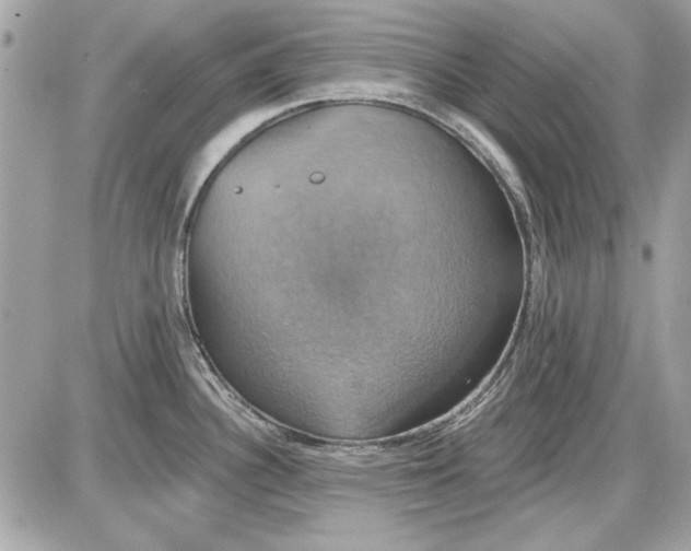 X0000087411340200705111842