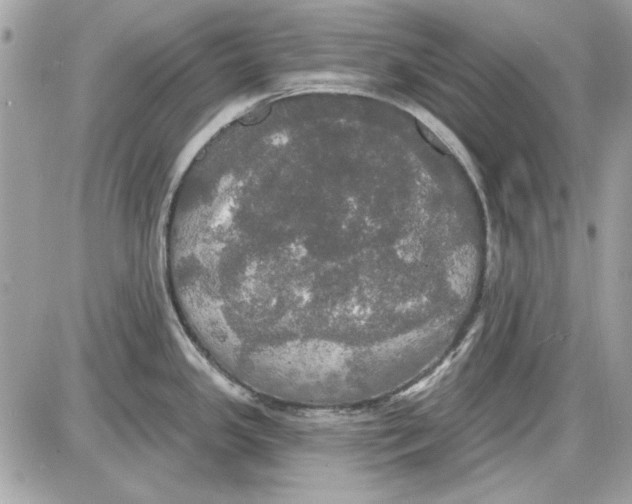 X0000087411341200705111842