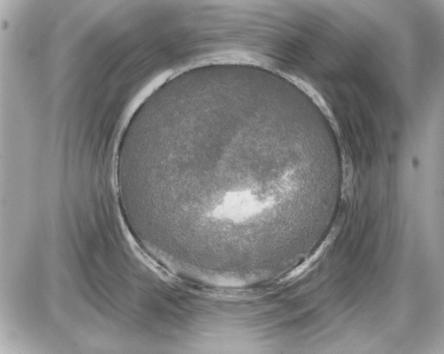 X0000087411342200705111842