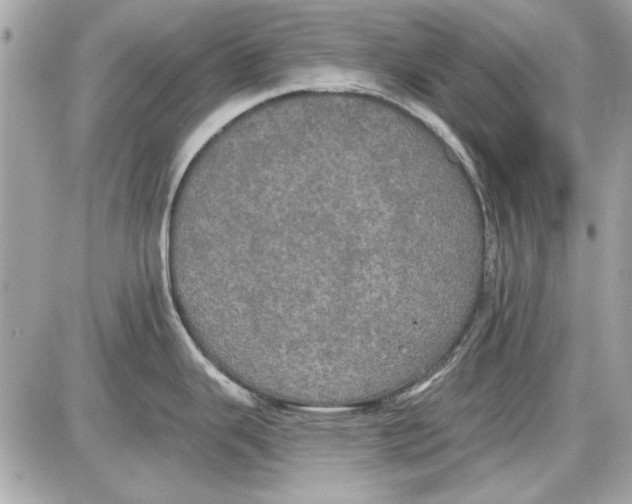 X0000087411343200705111842