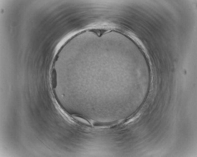 X0000087411344200705111842