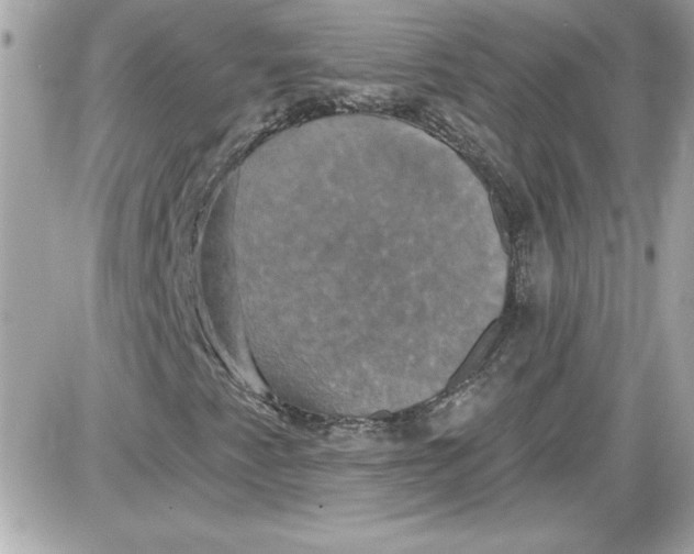 X0000087411345200705111841