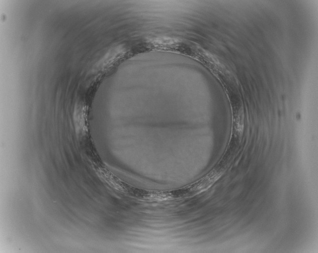 X0000087411346200705111841