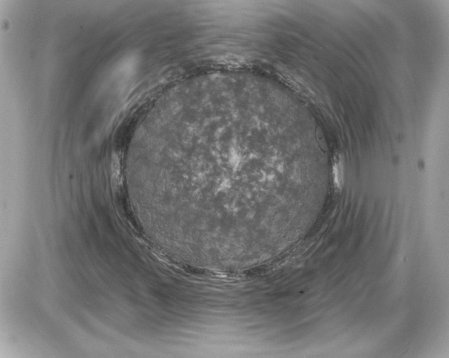 X0000087411347200705111841