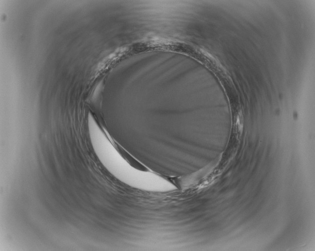 X0000087411348200705111841