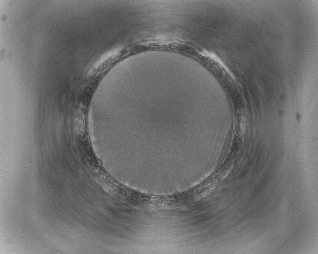 X0000087411350200705111841