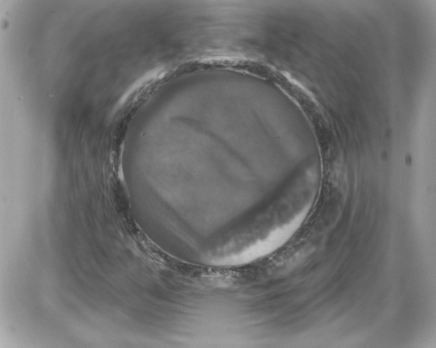 X0000087411351200705111841