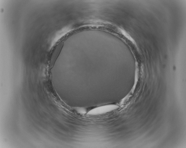 X0000087411352200705111841