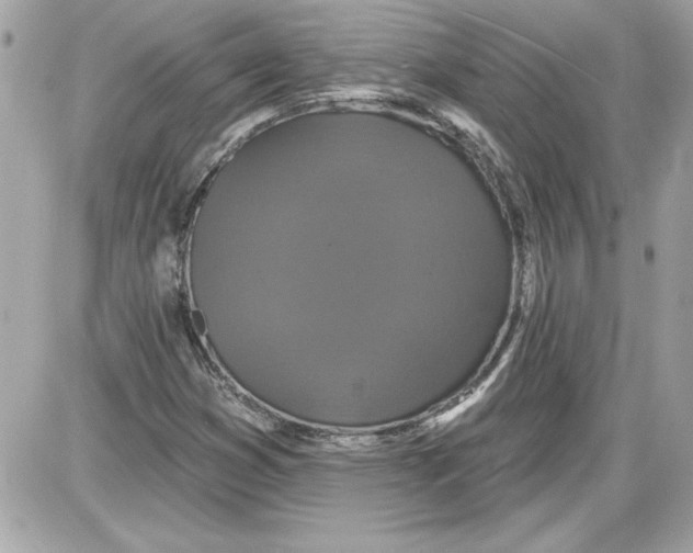 X0000087411353200705111841