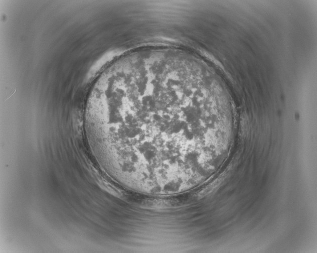 X0000087411355200705111841