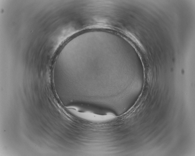 X0000087411356200705111841