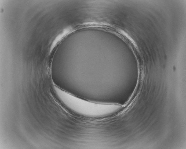 X0000087411357200705111841