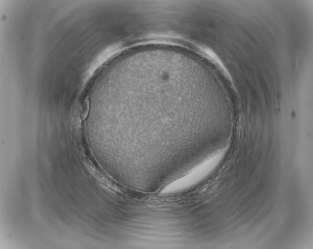 X0000087411360200705111841