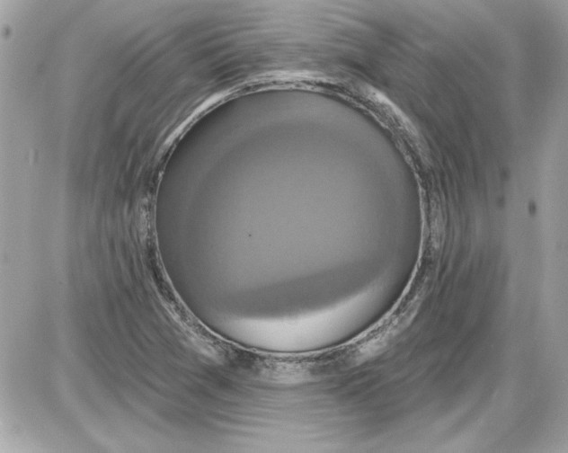 X0000087411361200705111841