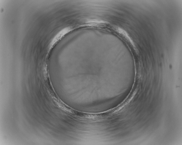 X0000087411362200705111841