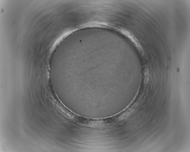 X0000087411363200705111841