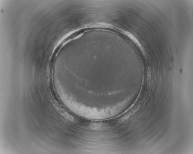 X0000087411364200705111841