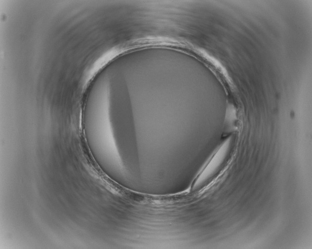 X0000087411365200705111841