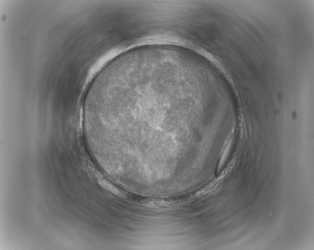 X0000087411366200705111841